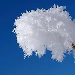 Lägenhet Sonneck *