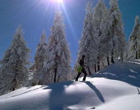 Sonneck 公寓 魏森湖